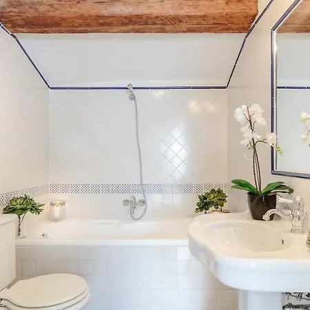 Casa Rosalba, Spacious With Elevator Along Via Guinigi Inside The Walls Lejlighed Lucca